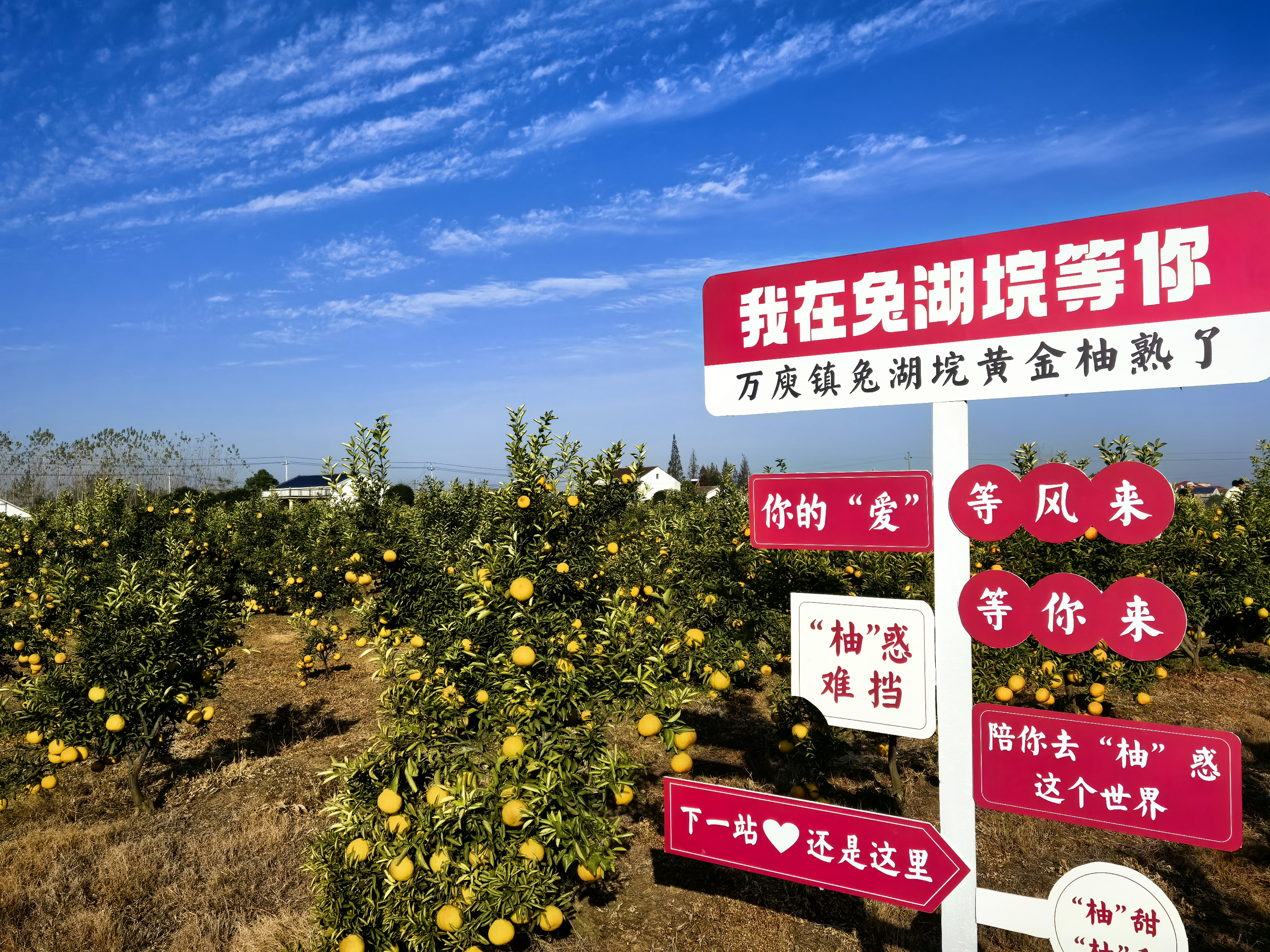 微信图片_20251129134527_921_21.jpg 微信图片_20251129134527_921_21.jpg