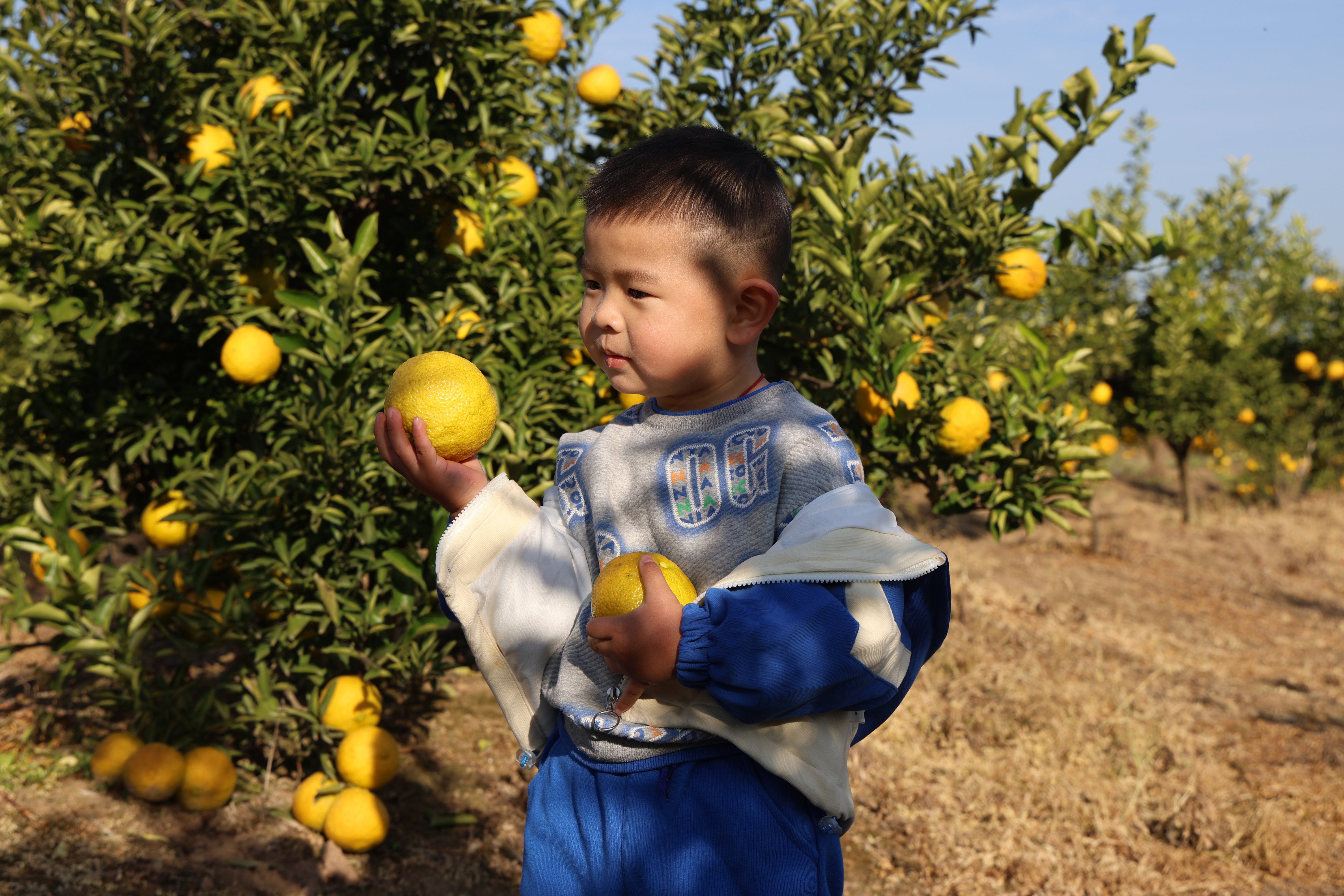 微信图片_20251129134528_923_21.jpg 微信图片_20251129134528_923_21.jpg