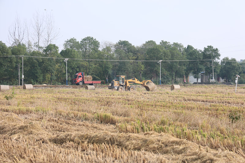 微信图片_20251106091203_2581_45_副本.jpg 微信图片_20251106091203_2581_45_副本.jpg