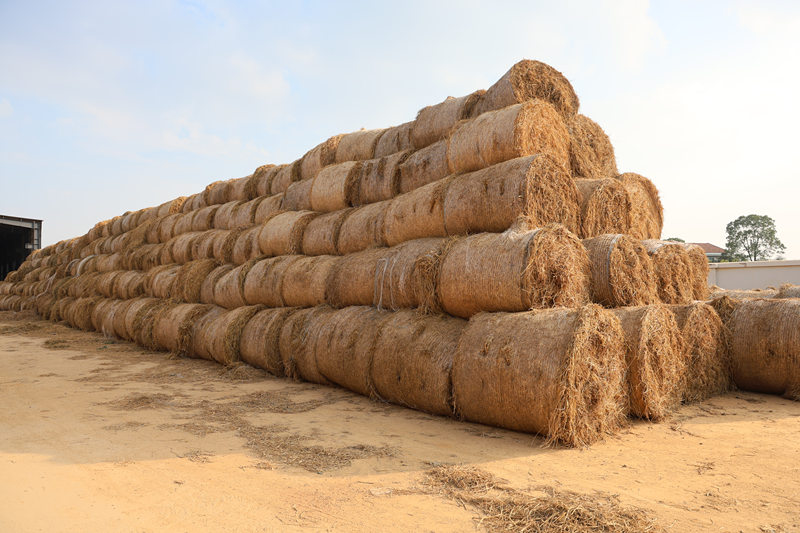 微信图片_20251106091158_2577_45_副本.jpg 微信图片_20251106091158_2577_45_副本.jpg