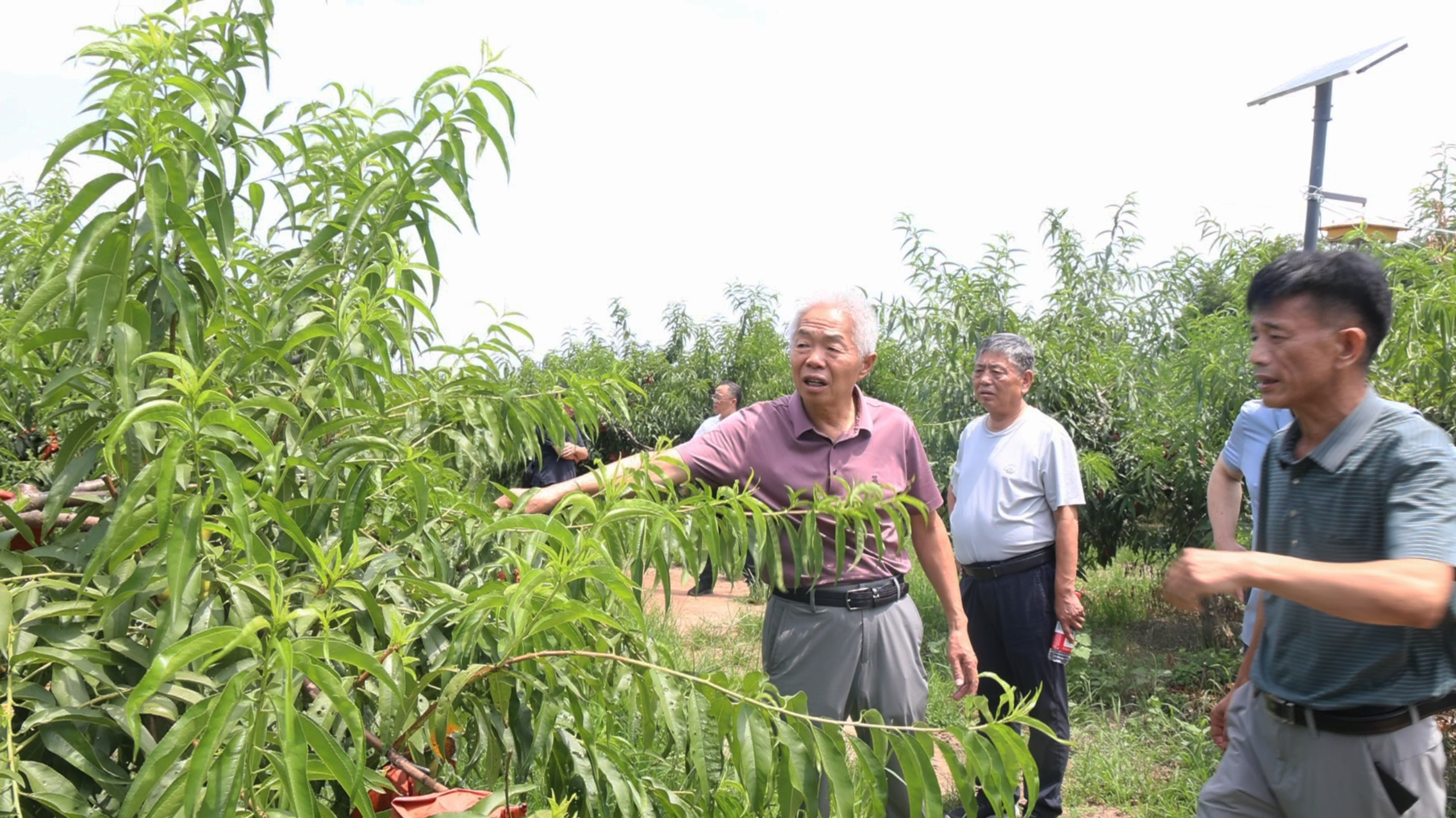 微信图片_2025-07-10_175808_208.png
