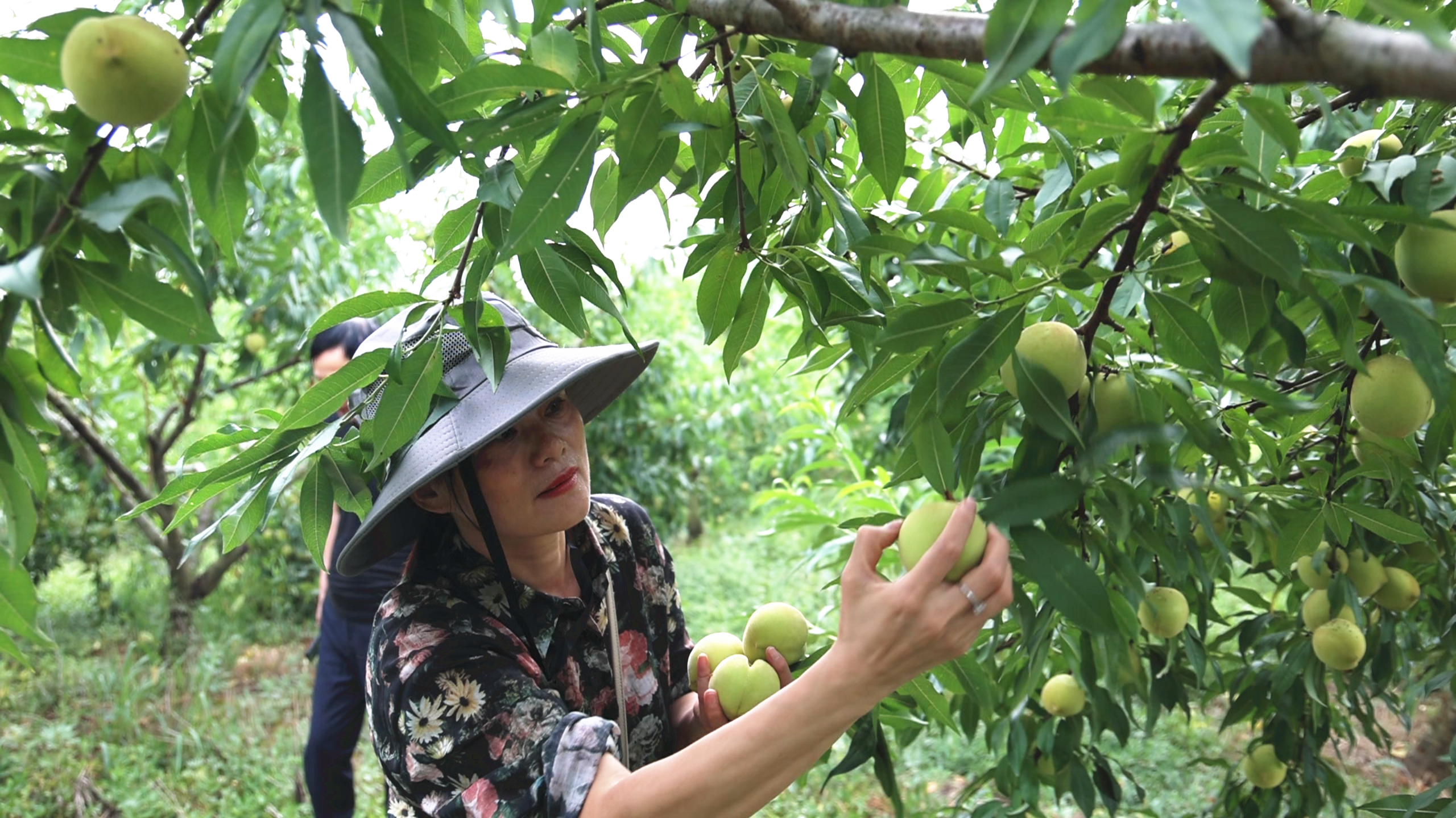 微信图片_2025-08-11_095140_257_副本.png