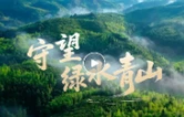 守望绿水青山