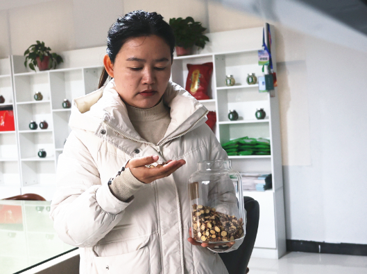 建设年轻人友好县域｜曹丹：一方药材田筑起青年与故乡的“双向奔赴”