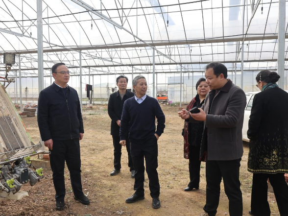 中国农业大学及智慧设施农业联合体考察团来华容考察交流