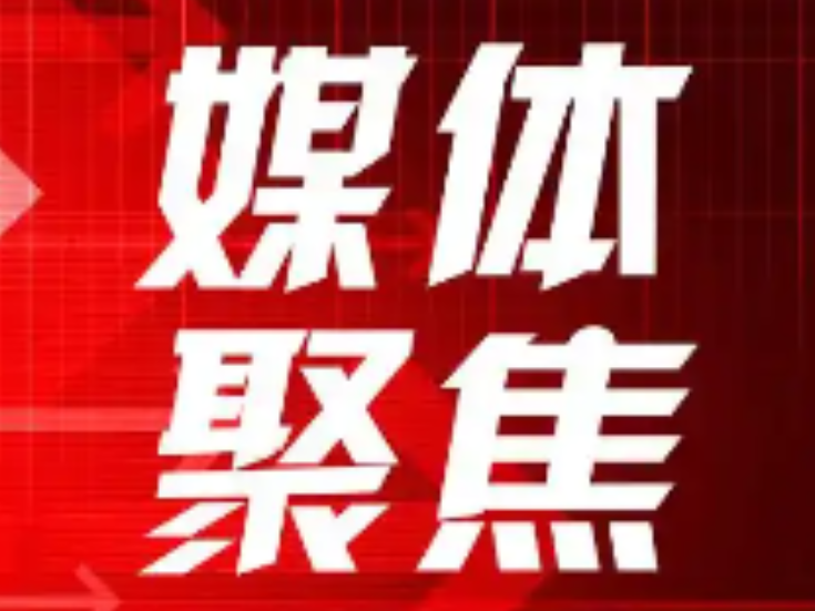 独家视频丨习近平等领导同志为全国优秀共产党员代表颁奖