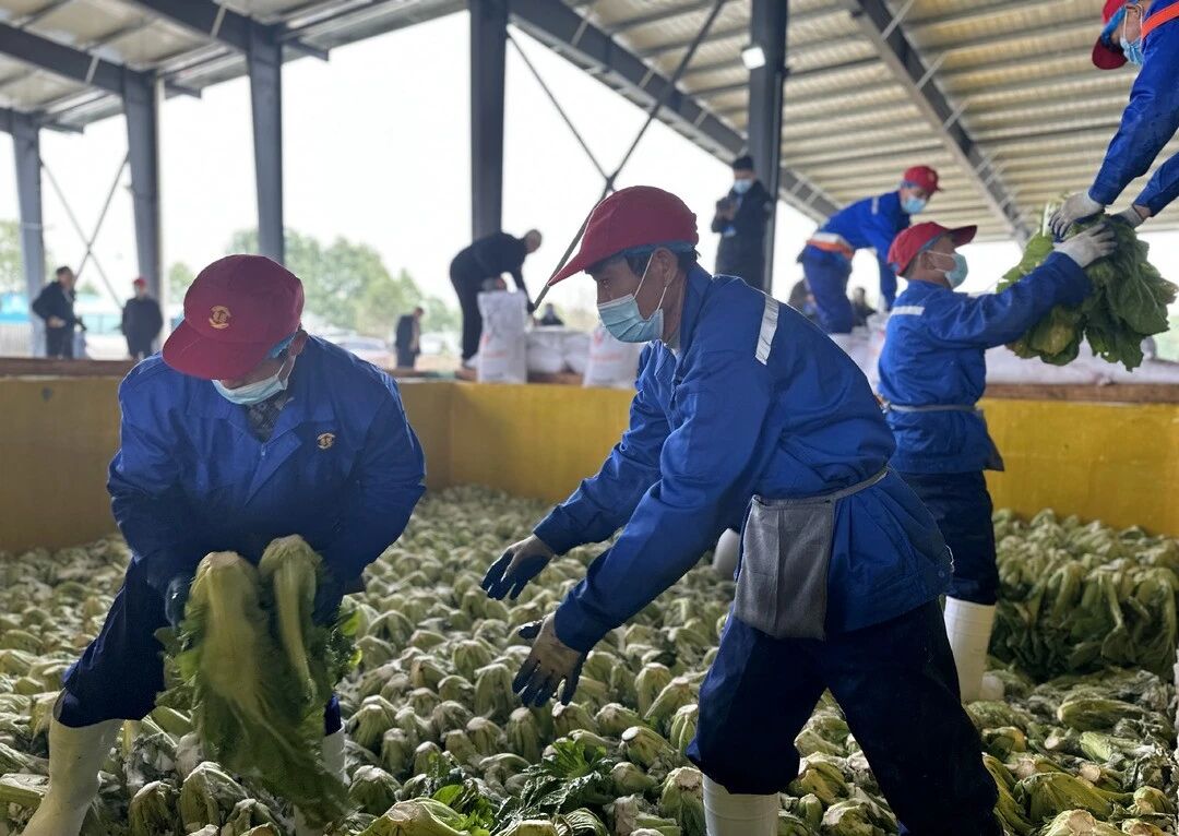 腌制池_7.jpg 腌制池_7.jpg