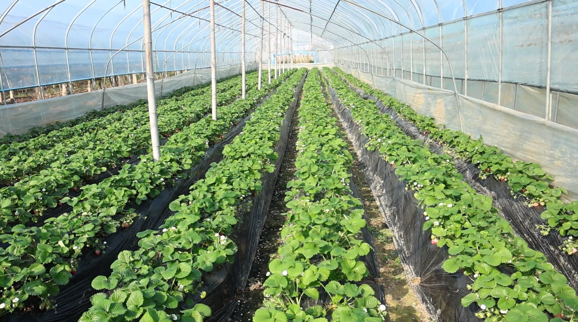 微信图片_20250220164422.png 微信图片_20250220164422.png