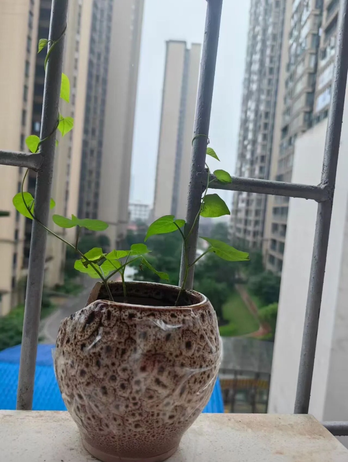 微信图片_20261023163611_88_4.jpg 微信图片_20261023163611_88_4.jpg
