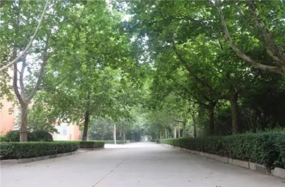 微信图片_20260605162322_683_27.jpg