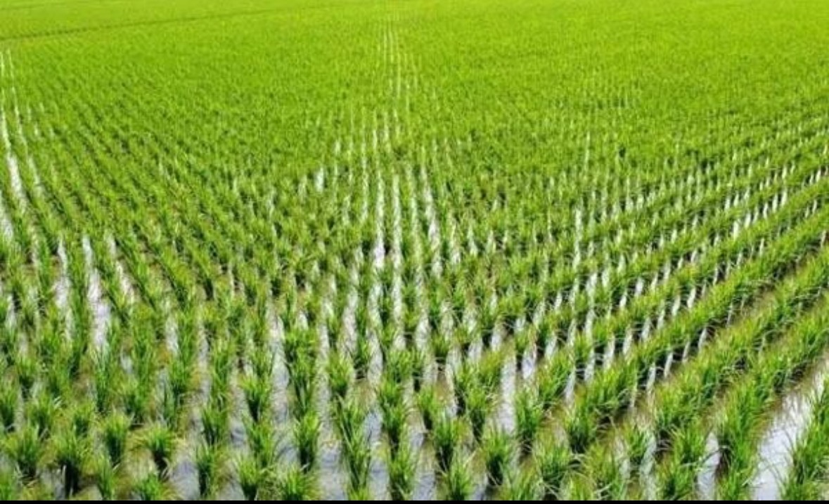 微信图片_20260821125054_25_4.jpg