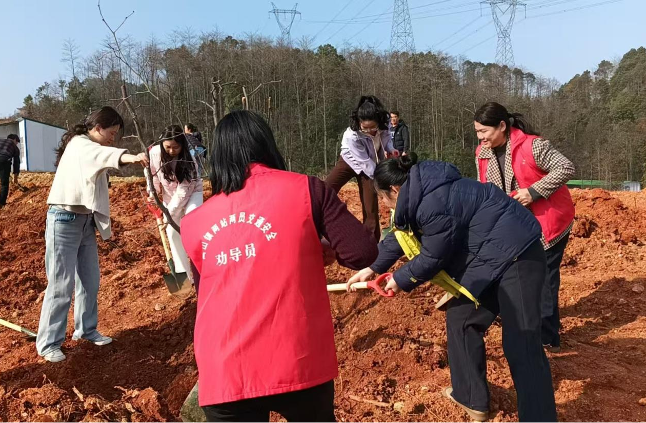 图片4.png 图片4.png