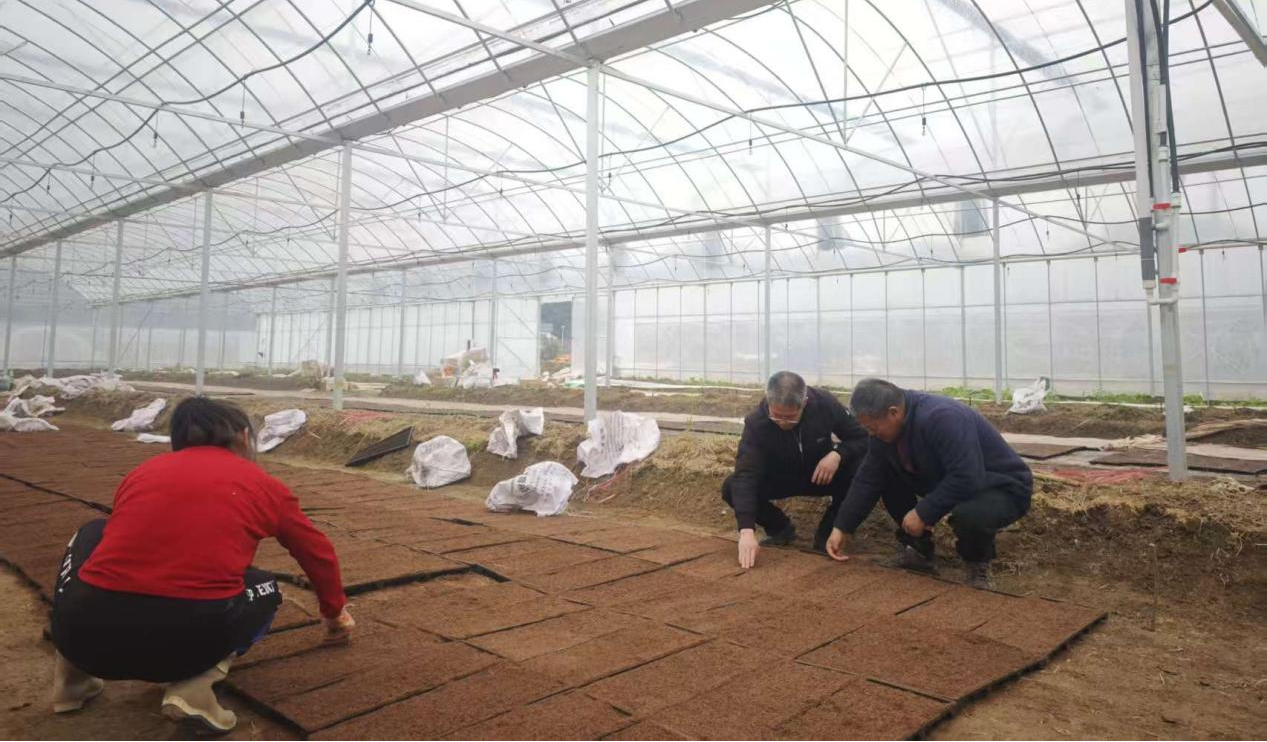 图片4.png 图片4.png