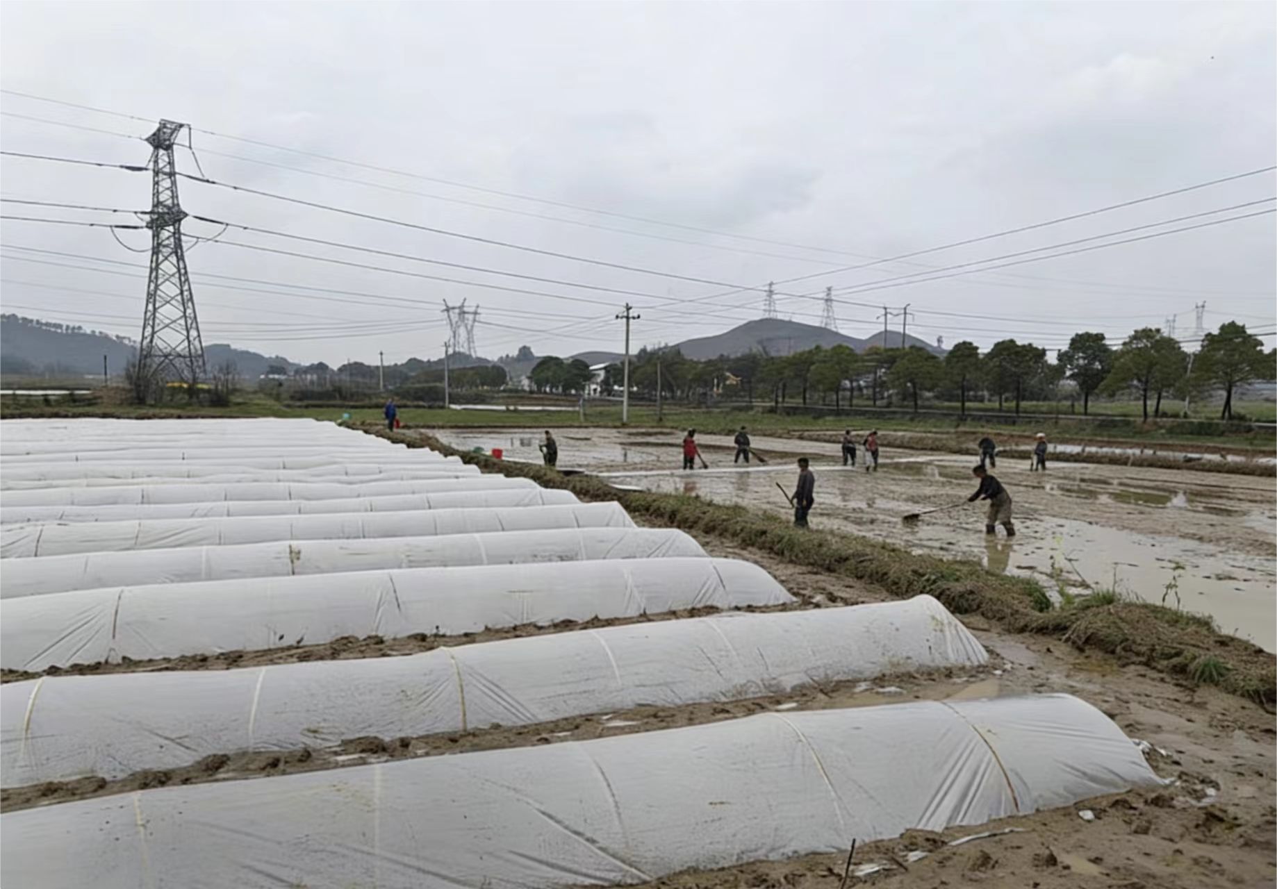 微信图片_20260325090203_712_9.jpg 微信图片_20260325090203_712_9.jpg