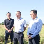 代虹宇督导秸秆禁限烧及综合利用工作