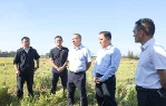 代虹宇督导秸秆禁限烧及综合利用工作