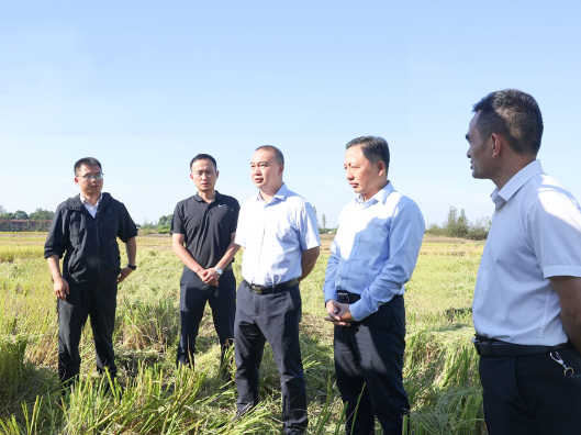 代虹宇督导秸秆禁限烧及综合利用工作