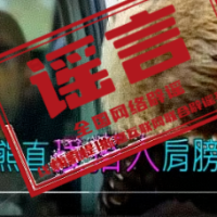 网传“喀纳斯棕熊索食险酿大祸”系AI编造（2026·10·08）