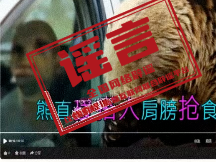 网传“喀纳斯棕熊索食险酿大祸”系AI编造（2026·10·08）