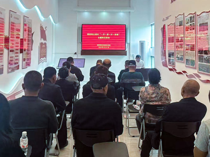 华容县插旗镇：阵地赋能强党建 组织生活提质效