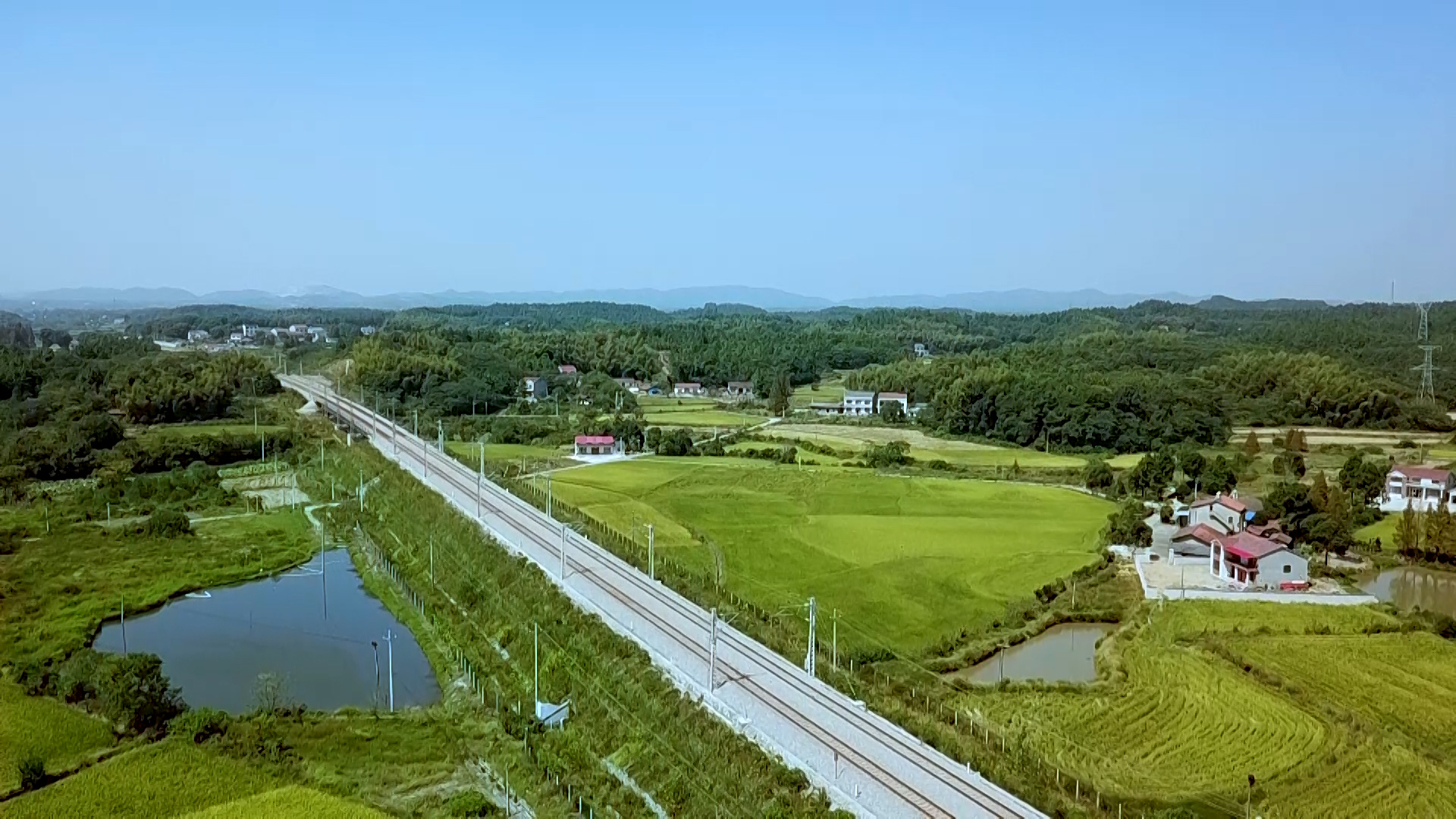 20220904 张帆 跆拳道运动员全力以赴求突破.00_02_48_05.静止006.jpg