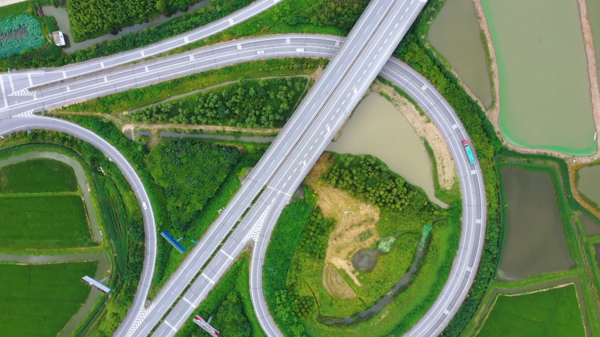 20220904 张帆 跆拳道运动员全力以赴求突破.00_01_48_05.静止001.jpg