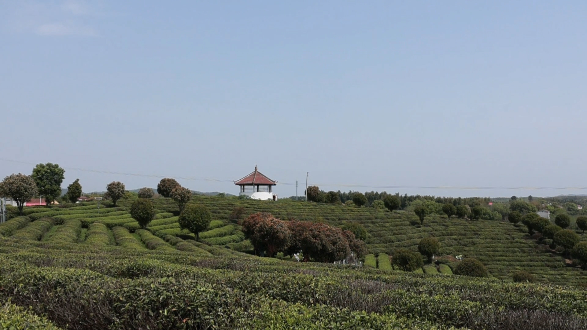 IMG_7776.00_04_03_21.静止005.jpg