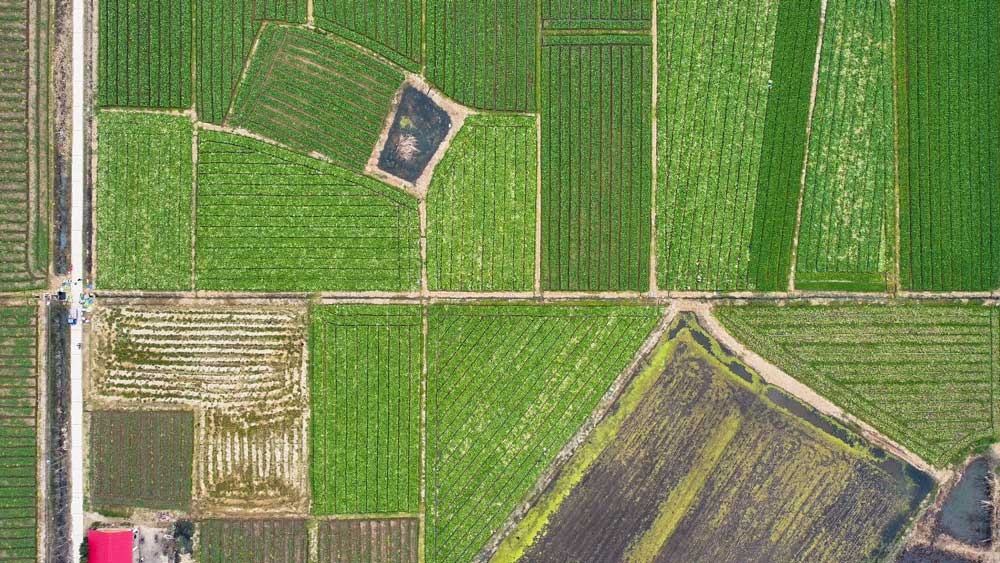 微信图片_20240129211120.jpg 微信图片_20240129211120.jpg