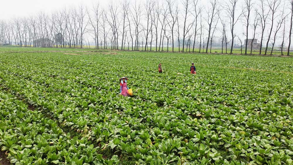 微信图片_20240129210901.jpg 微信图片_20240129210901.jpg