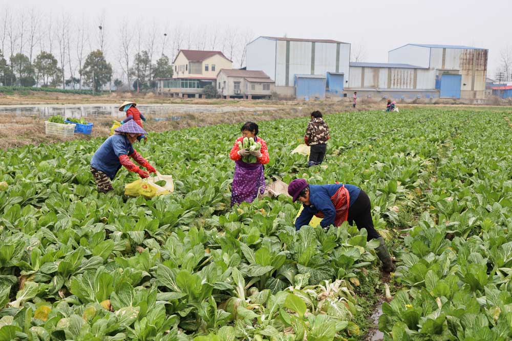 微信图片_20240129211259.jpg 微信图片_20240129211259.jpg