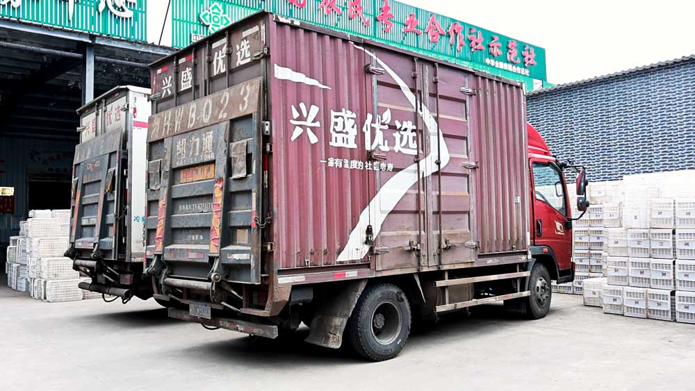 微信图片_20240129211202.jpg 微信图片_20240129211202.jpg