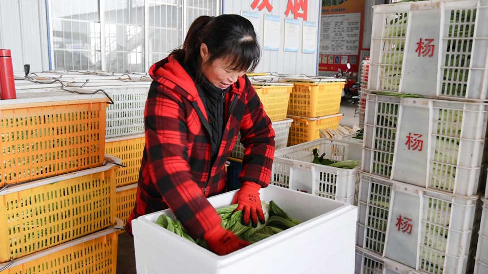 微信图片_20240129211351.jpg 微信图片_20240129211351.jpg