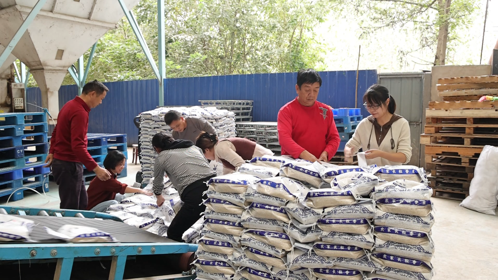 微信图片_20241016153908.png 微信图片_20241016153908.png