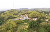 名家聚洞庭 笔墨绘岳阳  “大美江湖 天下岳阳”第四届湖南旅游发展大会美术摄影书法作品展采风活动在华容启动