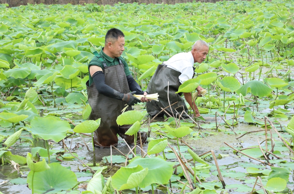 微信截图_20250502103015.png