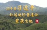 学习·故事丨25年前，习近平让这处珍贵遗址重获生机