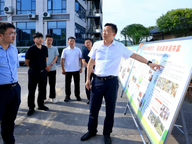 周鹏调研基层治理工作