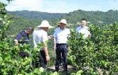 周鹏到三封寺镇开展巡河巡林巡田和常态化精准帮扶、包案重点信访事项调度