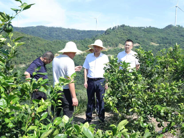 周鹏到三封寺镇开展巡河巡林巡田和常态化精准帮扶、包案重点信访事项调度