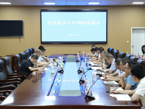 代虹宇调研发改重点工作