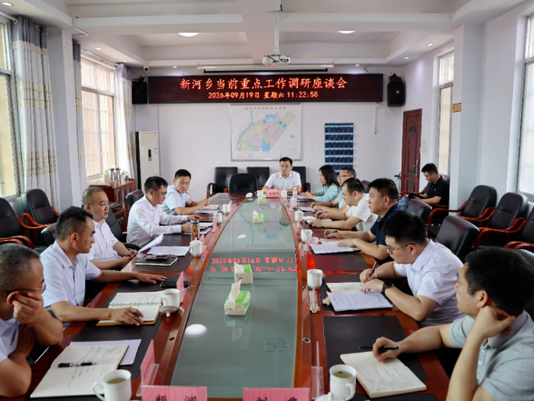 代虹宇到新河乡调研督导当前重点工作