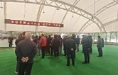 金秋挥杆，银发争锋！华容县第36届“松柏杯”门球赛精彩收杆