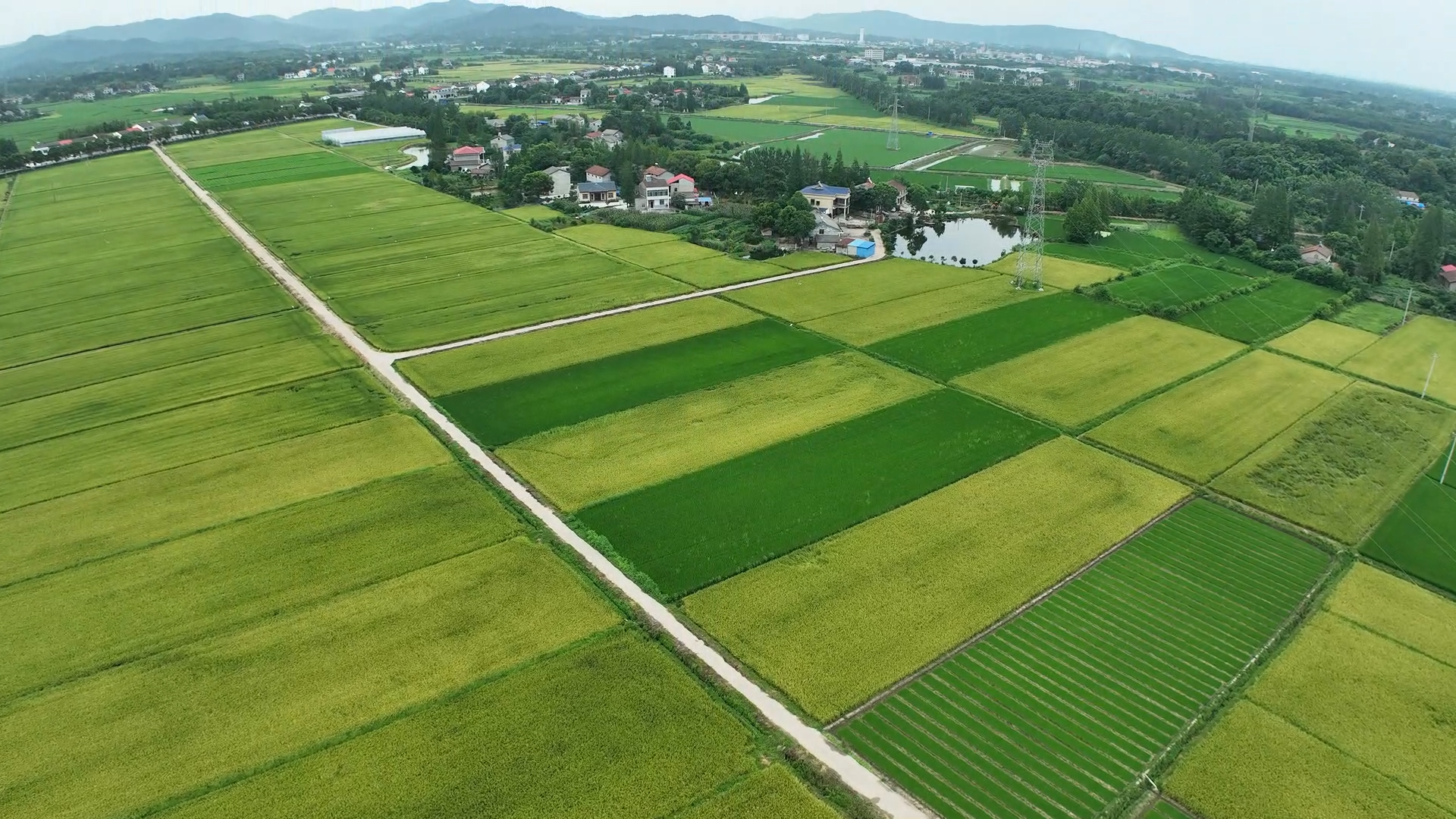 ebd3489127f38ec8c3da2599cfae8d70.png ebd3489127f38ec8c3da2599cfae8d70.png