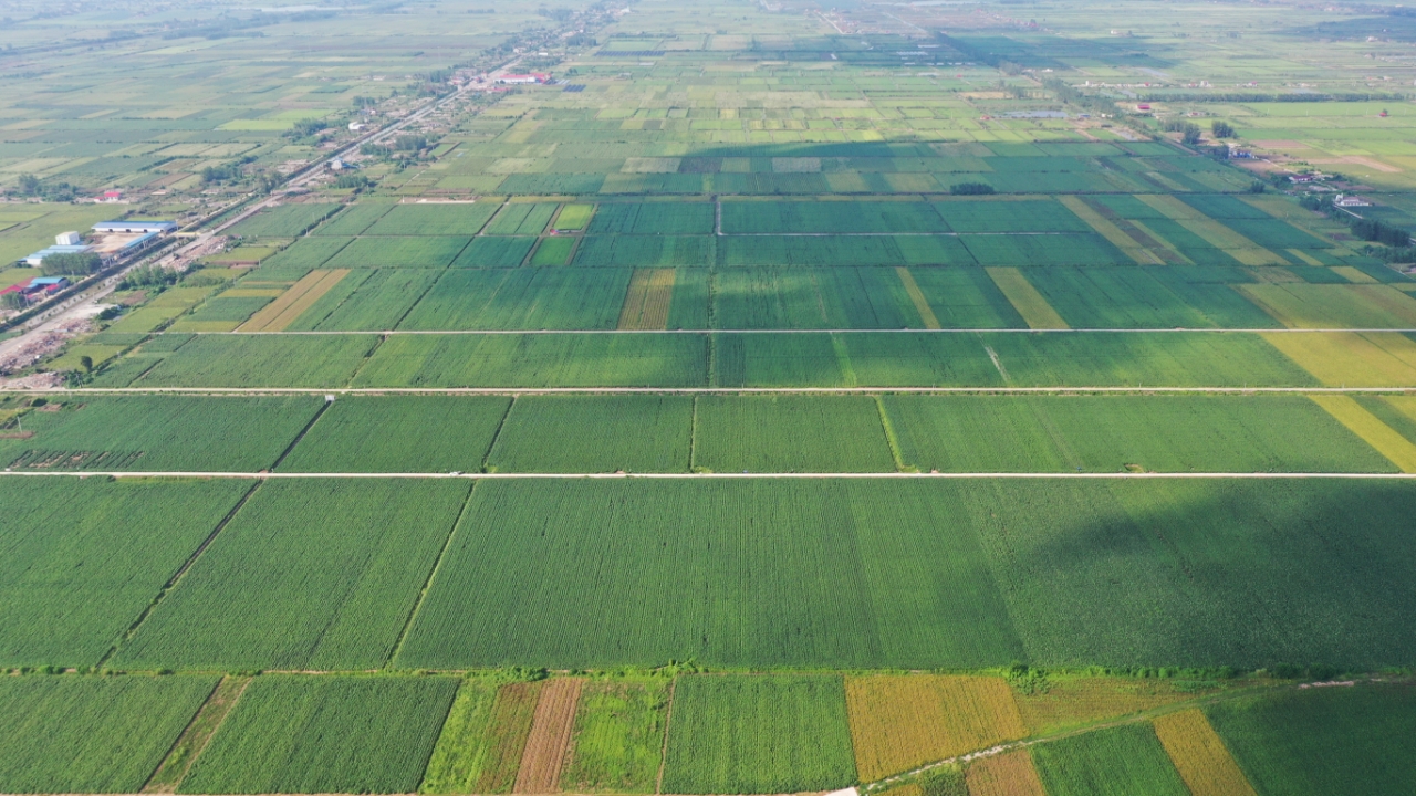 89694428c7ba35a51009e35d4babfc01.jpg 89694428c7ba35a51009e35d4babfc01.jpg