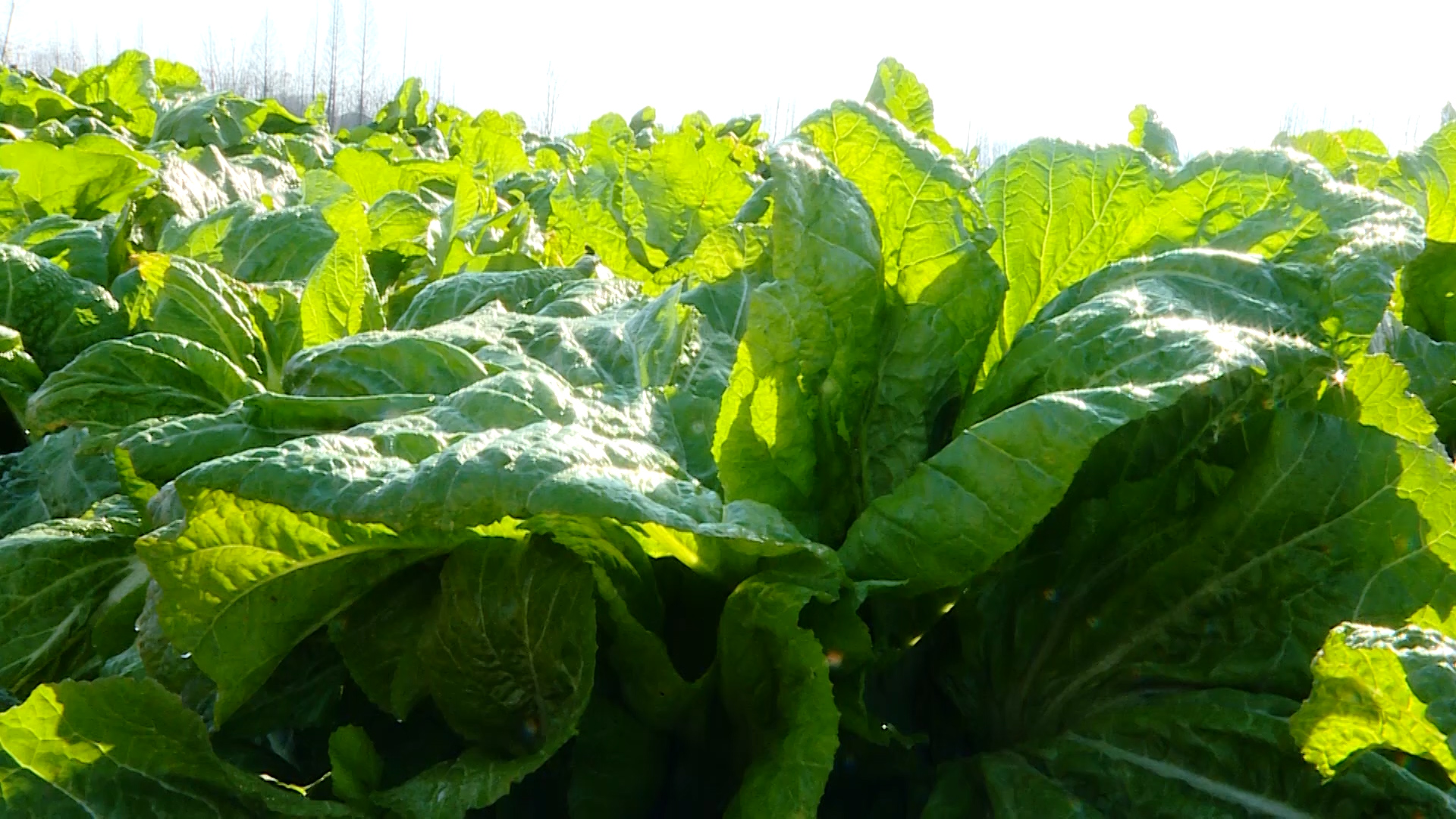 030471f368924e23a0bbead26aea490c.jpg 030471f368924e23a0bbead26aea490c.jpg