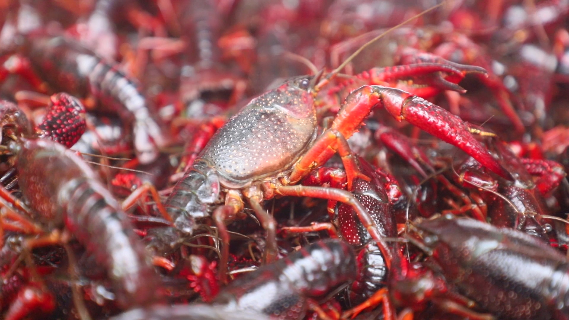 3db216cc418b491aae1b31af73c97f83.jpg 3db216cc418b491aae1b31af73c97f83.jpg