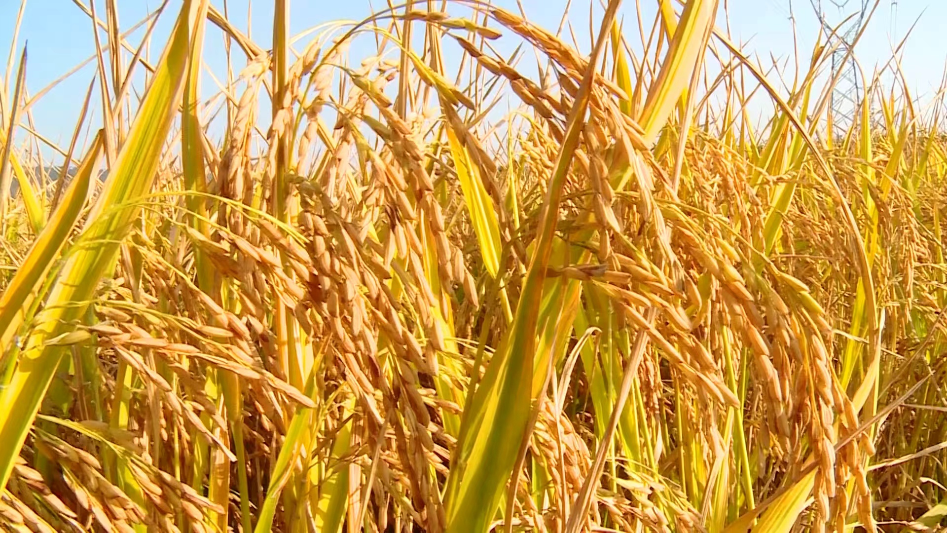 58421f162fce58c9e9ac1dc7c07adc4d.jpg 58421f162fce58c9e9ac1dc7c07adc4d.jpg