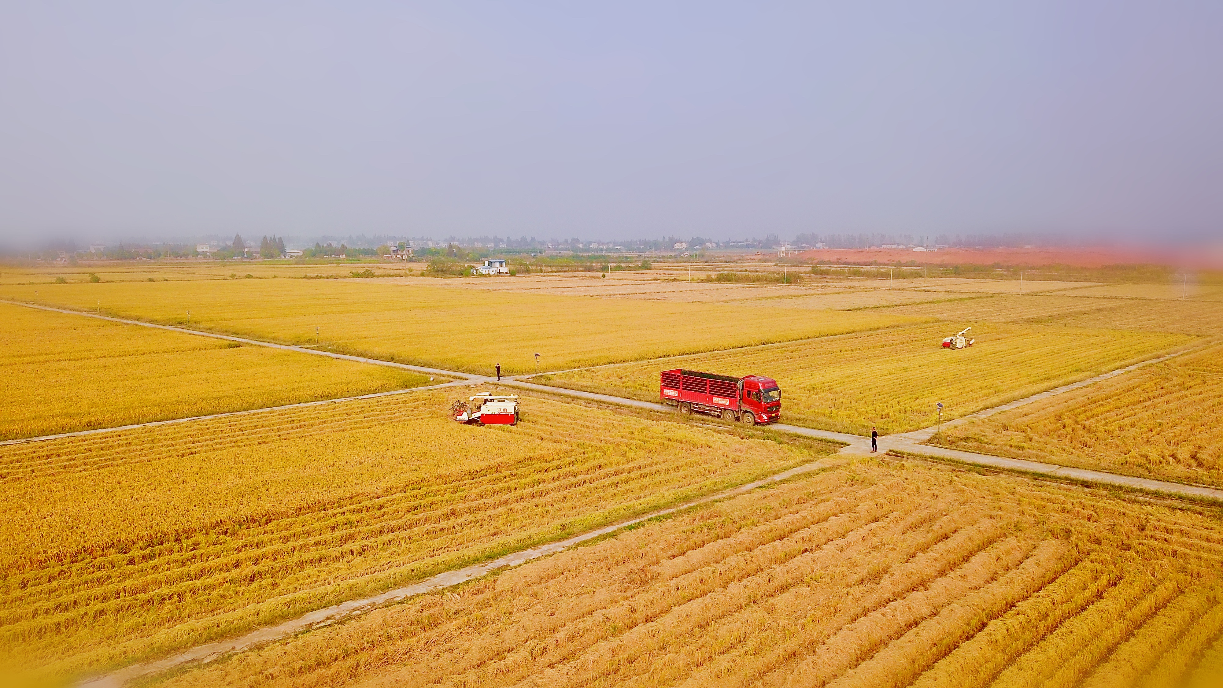 4d82603ef2cac845ed3d39aa91f8bb76.jpg 4d82603ef2cac845ed3d39aa91f8bb76.jpg