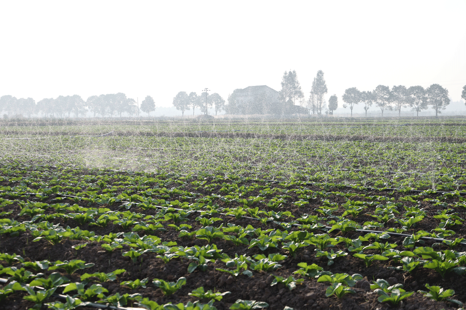 937a8ce82e3a4f9295dee33275f37633.gif 937a8ce82e3a4f9295dee33275f37633.gif