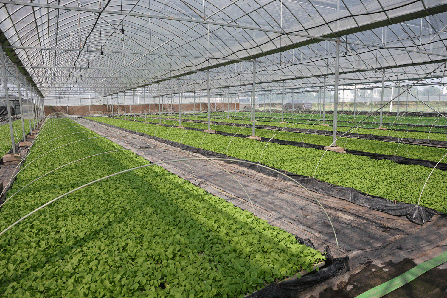 4f93b5d2b83149868f010d096cd8b5ce.gif 4f93b5d2b83149868f010d096cd8b5ce.gif